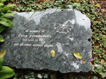 Kirstenbosch Gardens