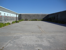 Nelson Mandela's garden